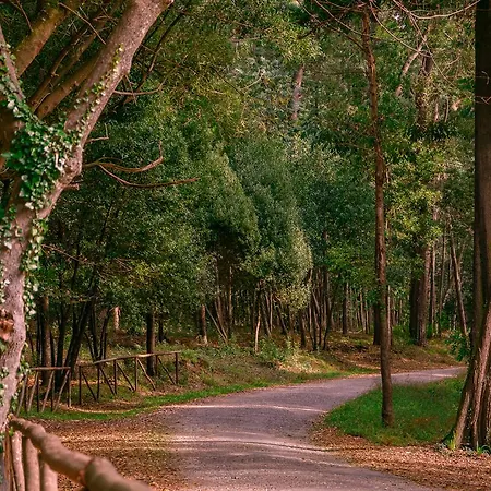 Apartamento Casino &