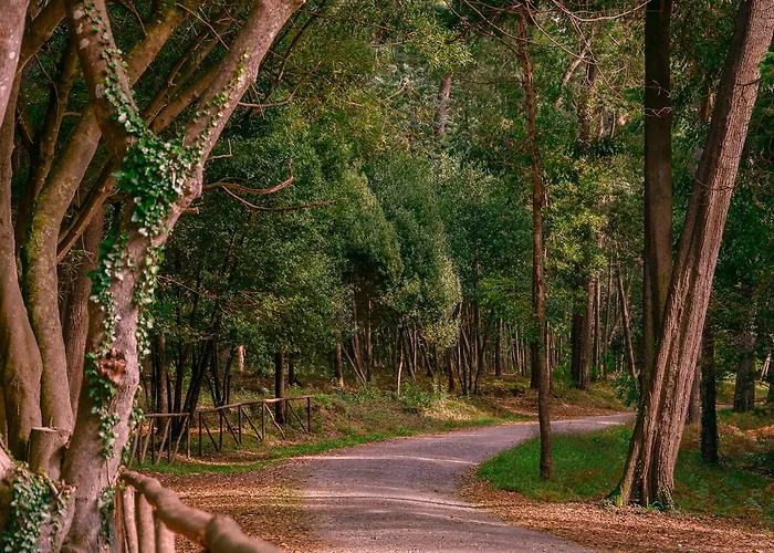 Appartement Casino &